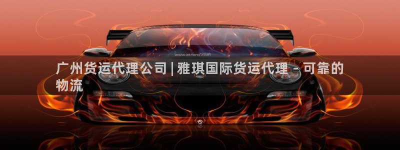 尊龙尊龙：广州货运代理公司 | 雅琪国际货运代理 - 可