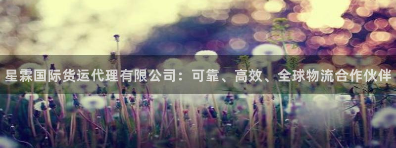 尊龙人生就是博ag：星霖国际货运代理有限公司：可靠、高效