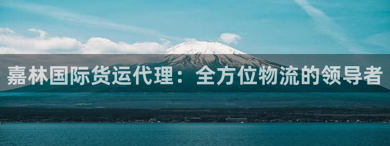 尊龙公司：嘉林国际货运代理：全方位物流的领导者