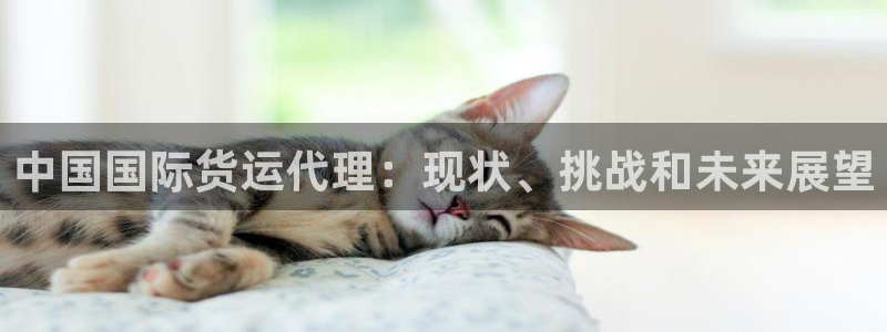 尊龙人生就是博网站下载：中国国际货运代理：现状、挑战和未