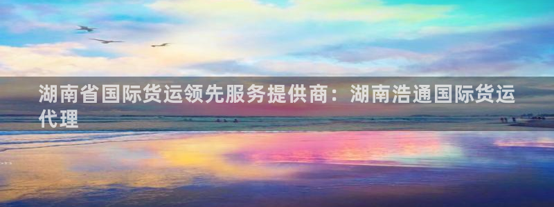 尊龙凯时链接：湖南省国际货运领先服务提供商：湖南浩通国际