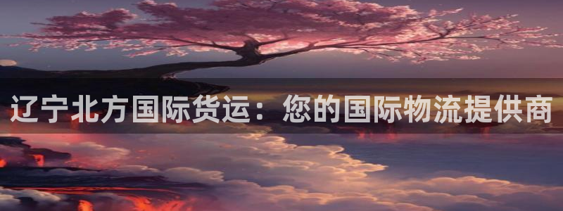 尊龙凯时泰安：辽宁北方国际货运：您的国际物流提供商