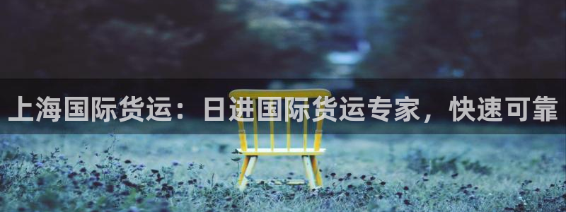 尊龙/人生就是博：上海国际货运：日进国际货运专家，快速可