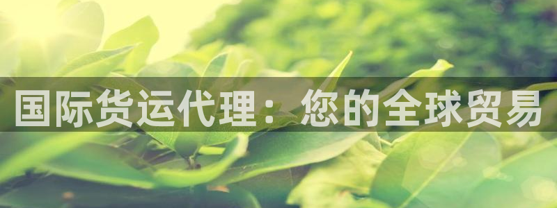 尊龙凯时法充十万返现多少：国际货运代理：您的全球贸易