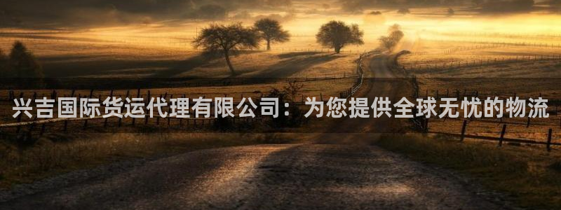 尊龙人生就是博旧版：兴吉国际货运代理有限公司：为您提供全