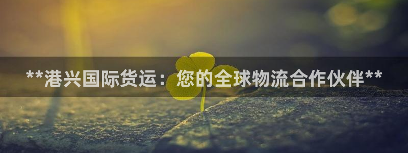 尊龙ag旗舰厅官网官方入口：**港兴国际货运：您的全球物