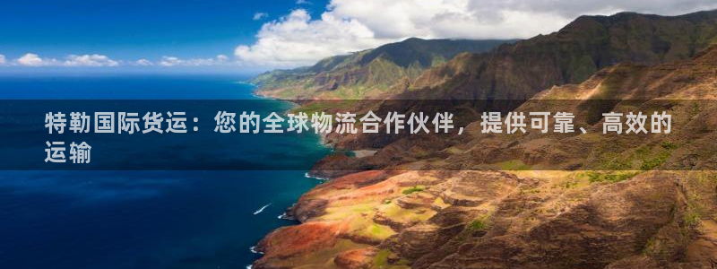 尊龙凯时官网平台：特勒国际货运：您的全球物流合作伙伴，提