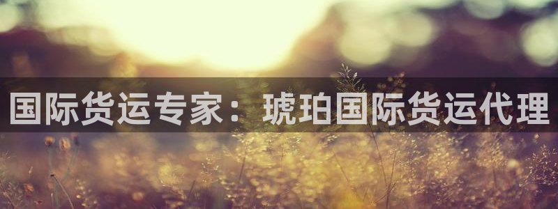 尊龙d88ag旗舰厅：国际货运专家：琥珀国际货运代理