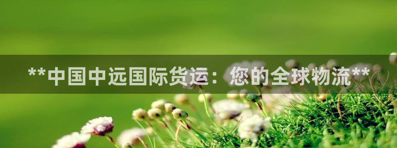 尊龙最新版：**中国中远国际货运：您的全球物流**