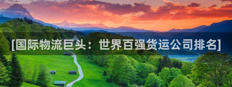 尊龙凯时几百万怎么下：[国际物流巨头：世界百强货运公司排