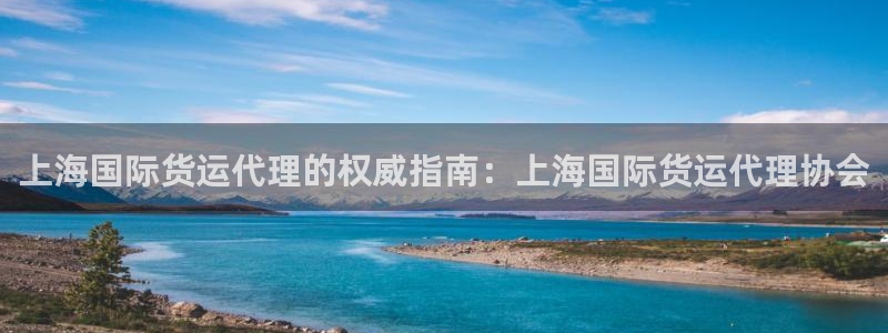 尊龙凯时 人生就是搏：上海国际货运代理的权威指南：上海国