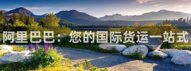 尊龙凯时 - 人生就是搏有假吗：阿里巴巴：您的国际货运一