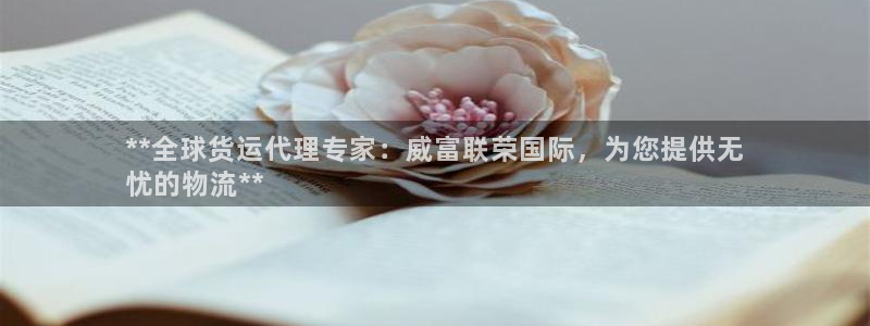 尊龙凯时俱乐部：**全球货运代理专家：威富联荣国际，为您
