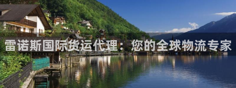 尊龙,人生就是博!登录国际：雷诺斯国际货运代理：您的全球