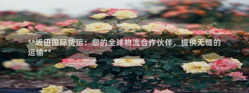 尊龙官网下载：**坂田国际货运：您的全球物流合作伙伴，提