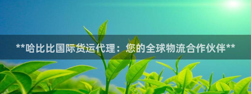 尊龙体育电竞官网：**哈比比国际货运代理：您的全球物流合