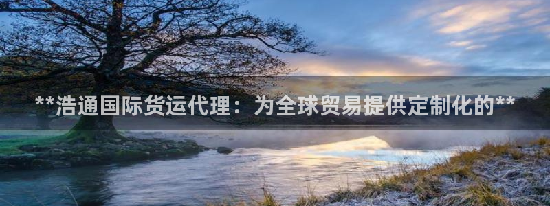 尊龙165：**浩通国际货运代理：为全球贸易提供定制化的
