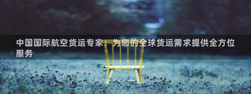 尊龙凯时存款不上分：中国国际航空货运专家：为您的全球货运
