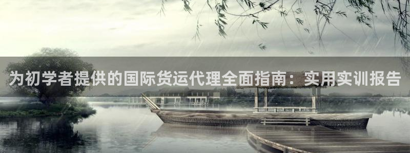 尊龙凯时贴吧：为初学者提供的国际货运代理全面指南：实用实