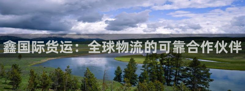 尊龙d88手机版下载：鑫国际货运：全球物流的可靠合作伙伴