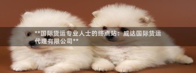 尊龙人生就是博菲律宾台子：**国际货运专业人士的终点站：