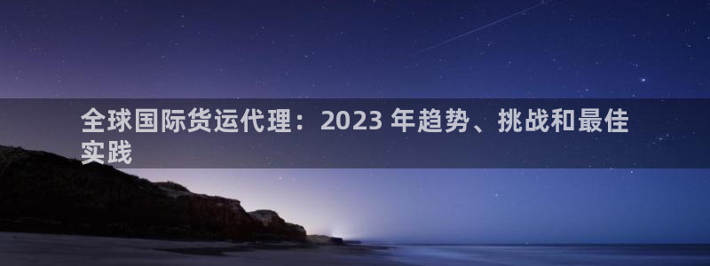 尊龙凯时邀请码：全球国际货运代理：2023 年趋势、挑战