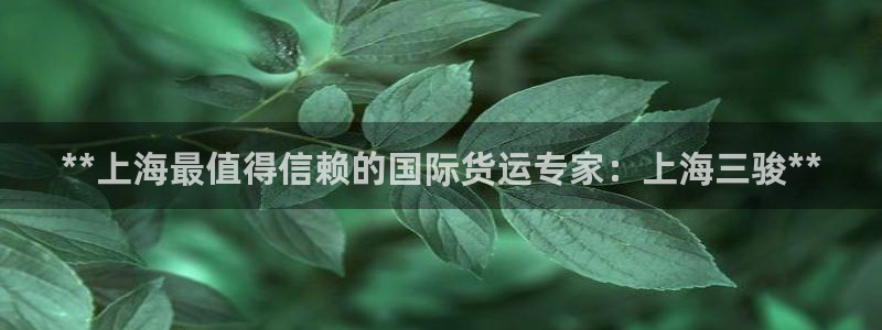 尊龙人生就是博首页：**上海最值得信赖的国际货运专家：上