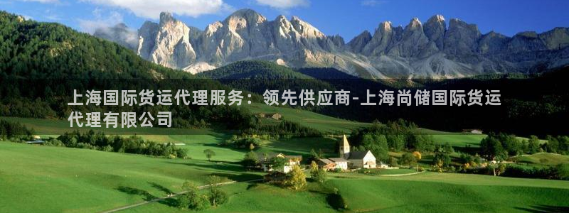 尊龙z6集团：上海国际货运代理服务：领先供应商-上海尚储