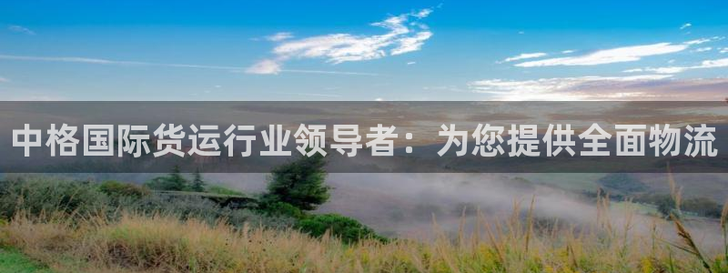 尊龙一人生就是搏：中格国际货运行业领导者：为您提供全面物