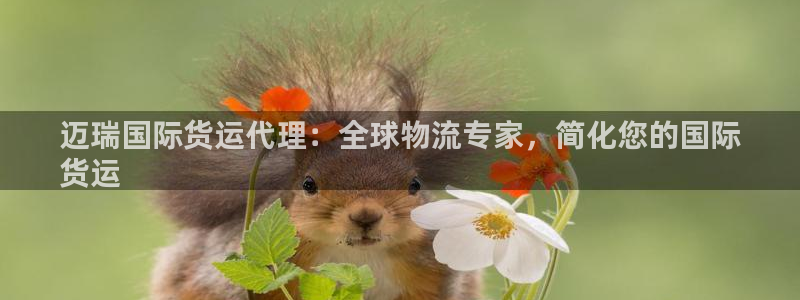 尊龙凯时官网网址：迈瑞国际货运代理：全球物流专家，简化您