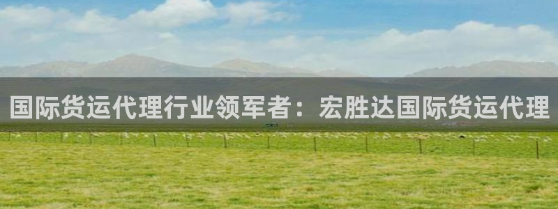 尊龙人生就是博手机版下载：国际货运代理行业领军者：宏胜达