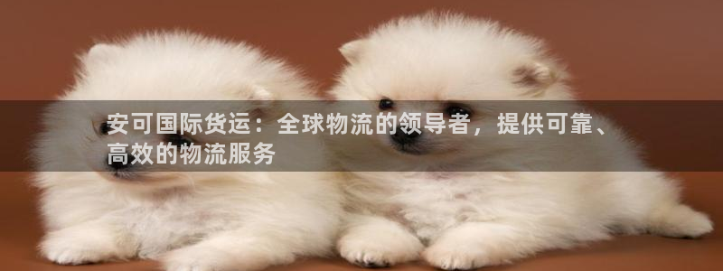 尊龙凯时城游戏官网：安可国际货运：全球物流的领导者，提供