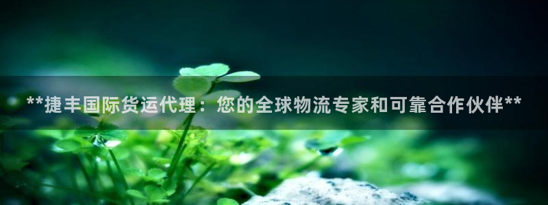 尊龙凯时d5138：**捷丰国际货运代理：您的全球物流专