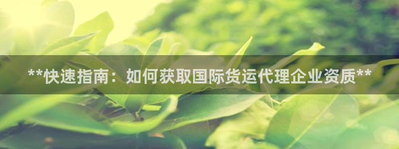 尊龙凯时平台正规吗：**快速指南：如何获取国际货运代理企
