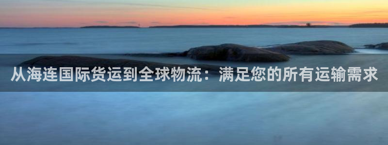 尊龙网址是选访问zd207：从海连国际货运到全球物流：满