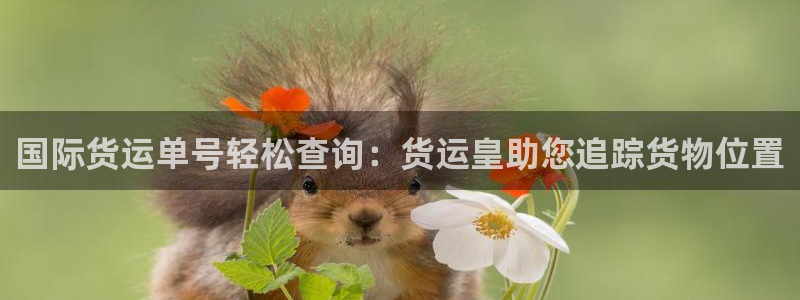 尊龙人生就是博一下首页：国际货运单号轻松查询：货运皇助您