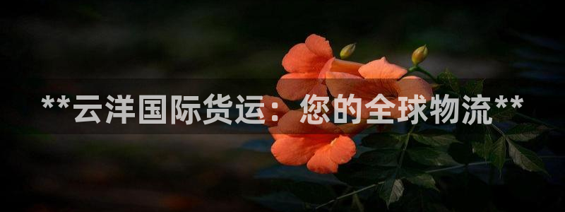 尊龙物流怎么样：**云洋国际货运：您的全球物流**