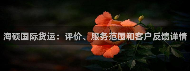 尊龙是什么软件：海硕国际货运：评价、服务范围和客户反馈详