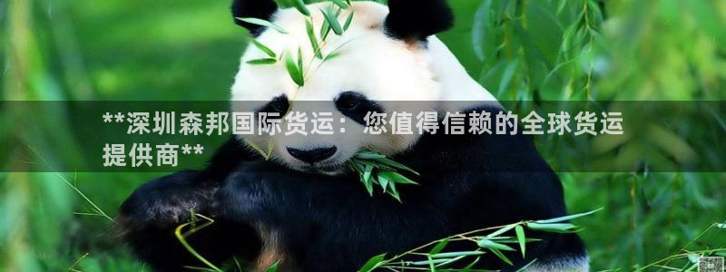尊龙凯时官网正规吗：**深圳森邦国际货运：您值得信赖的全