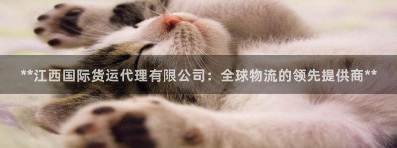 尊龙凯时几百万怎么下：**江西国际货运代理有限公司：全球