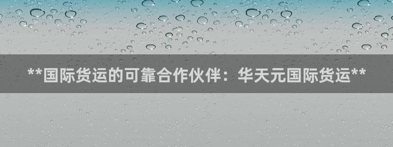 尊龙ag旗舰厅官网官方入口：**国际货运的可靠合作伙伴：