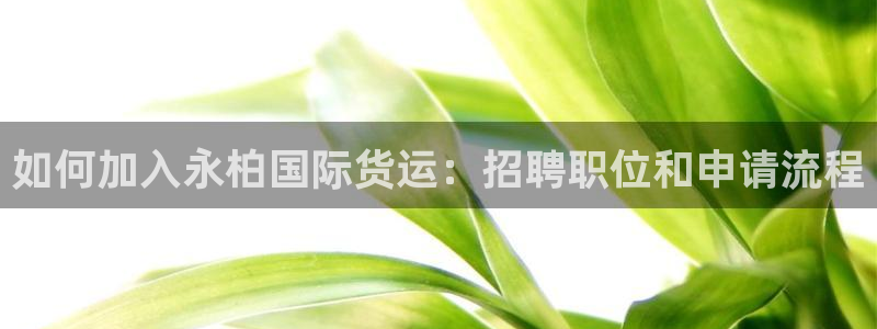 尊龙凯时几百万怎么下：如何加入永柏国际货运：招聘职位和申