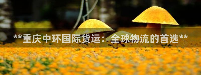 尊龙凯时台子：**重庆中环国际货运：全球物流的首选**