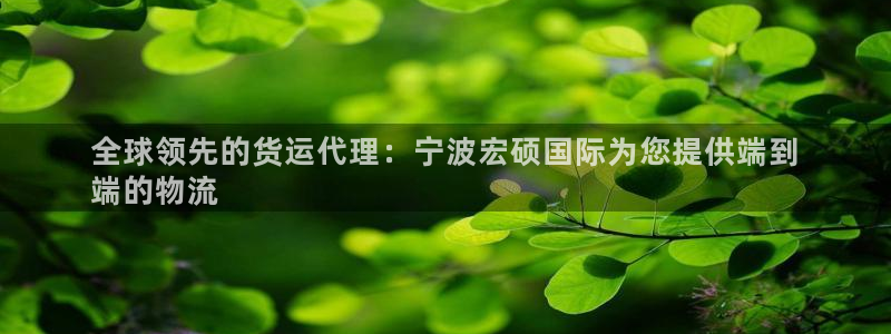 尊龙凯时 - 人生就是搏!提款怎么样：全球领先的货运代理