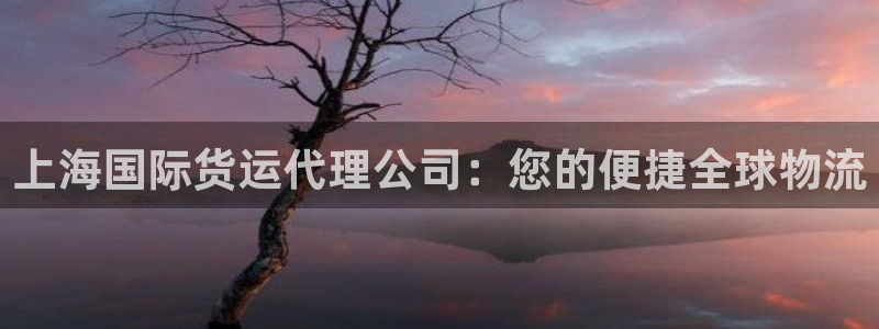 尊龙,人生就是博!登录国际：上海国际货运代理公司：您的便