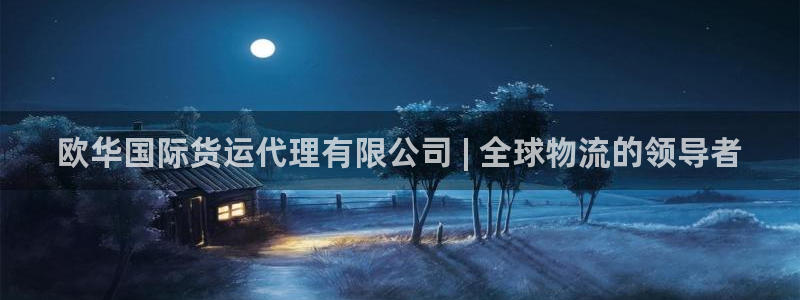 尊龙人生就是博下载：欧华国际货运代理有限公司 | 全球物