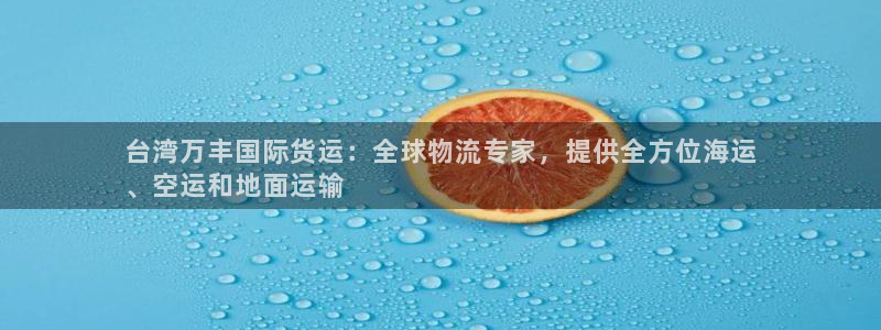 尊龙 下载：台湾万丰国际货运：全球物流专家，提供全方位海