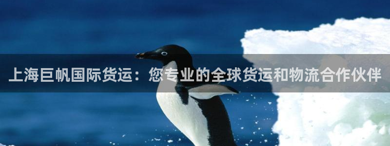 尊龙凯时只输不赢：上海巨帆国际货运：您专业的全球货运和物