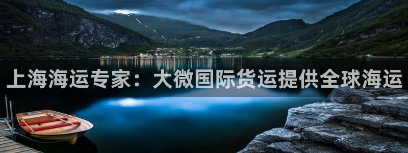 尊龙人生就是博登录网址下载：上海海运专家：大微国际货运提