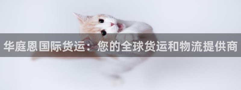 尊龙d88官网登录下载：华庭恩国际货运：您的全球货运和物